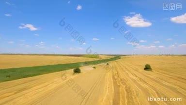 空中拍摄的联合<strong>收割机</strong>在夏季收获的麦田里收集小麦